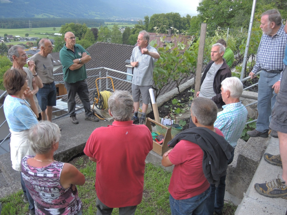 13.06.2019 - Mitteilungsblatt Nr. 12