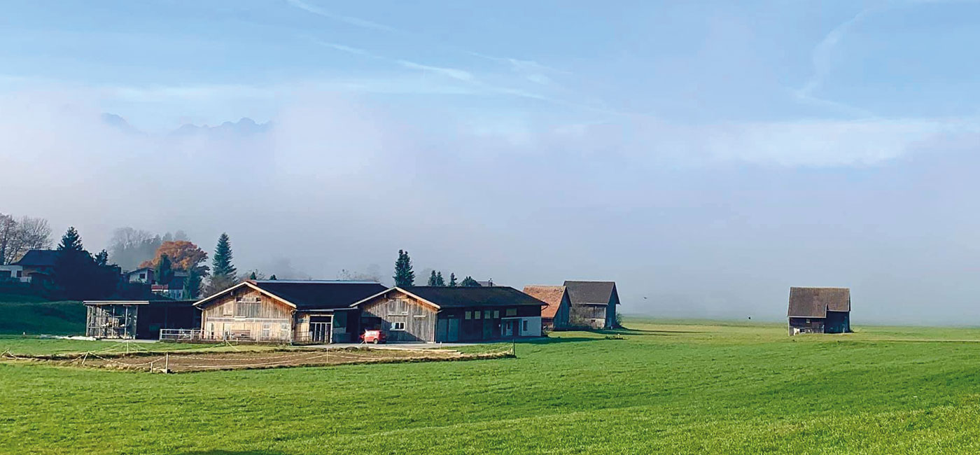 Slider-Bild Herbst