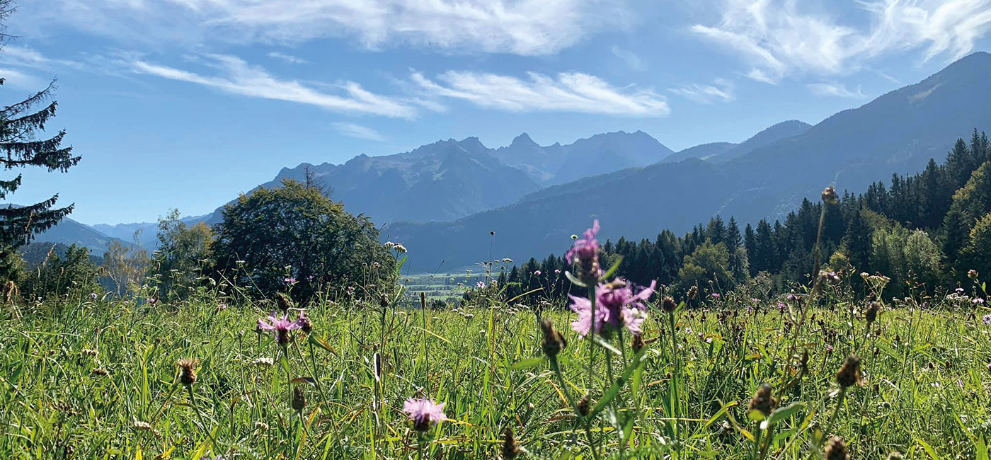 Slider-Bild Sommer