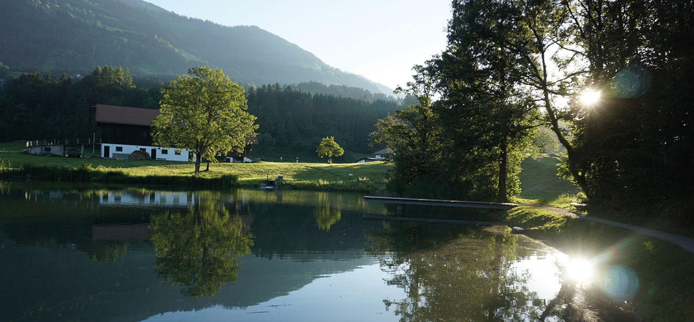 Slider-Bild Sommer