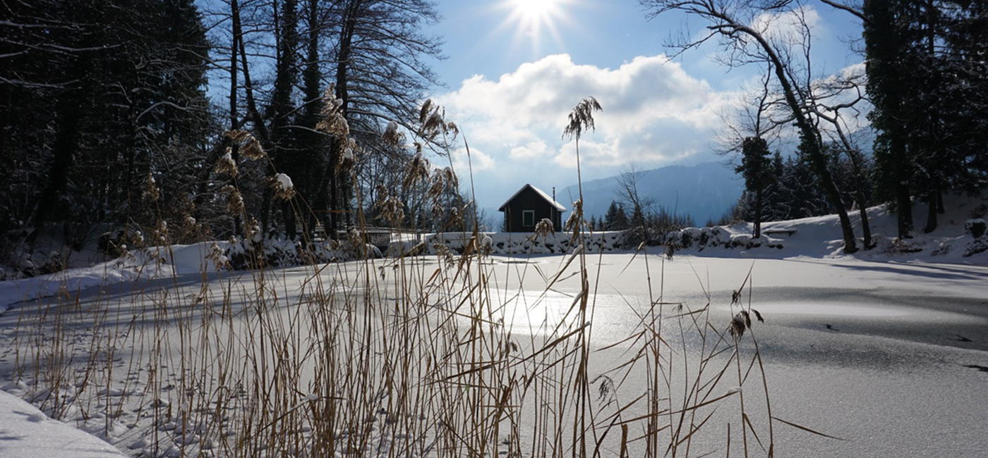 Slider-Bild Winter
