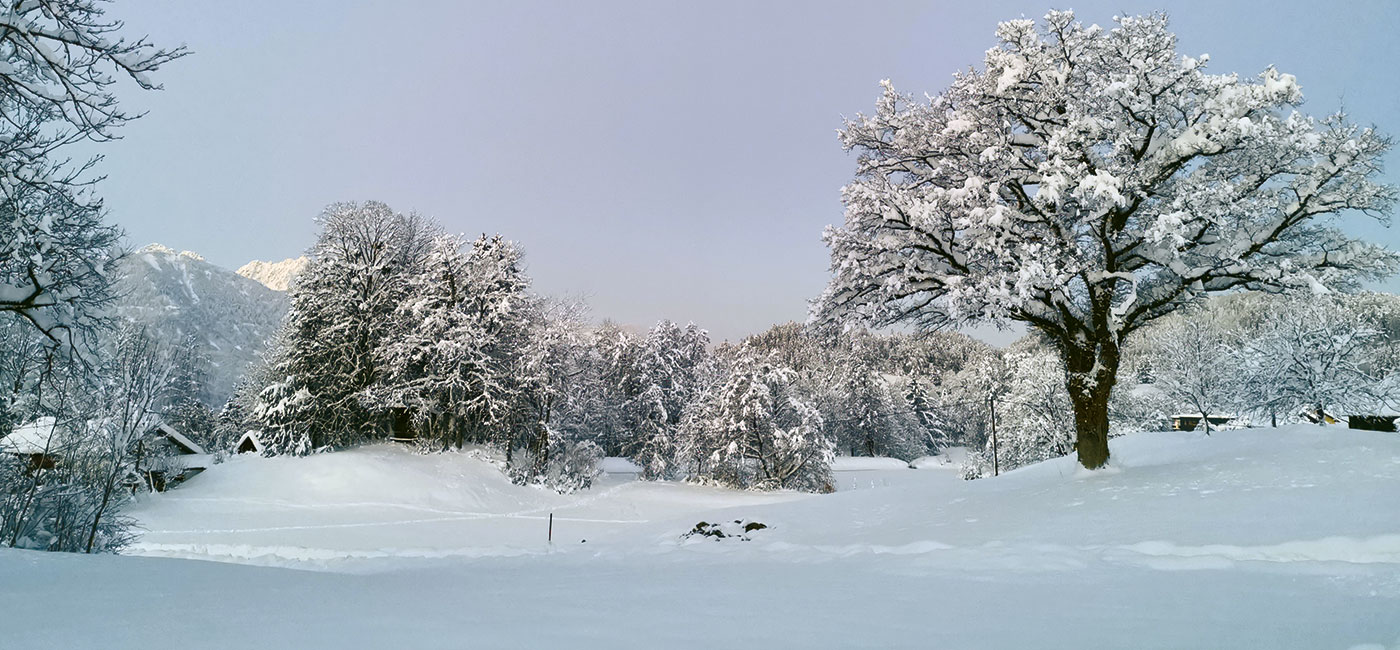 Slider-Bild Winter